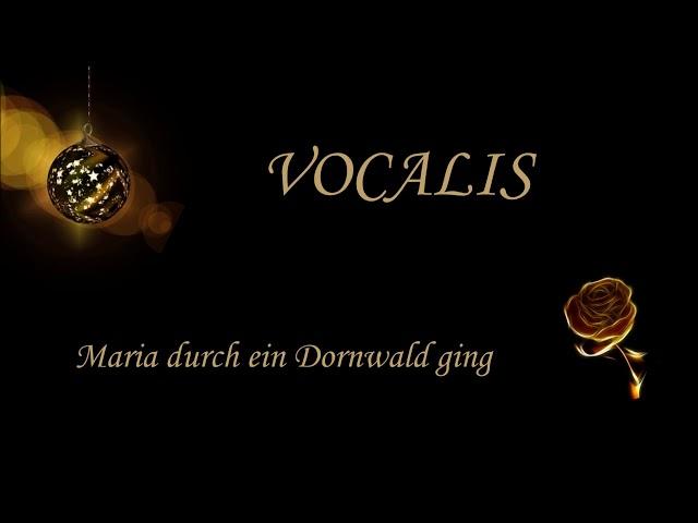 Maria durch ein Dornwald ging