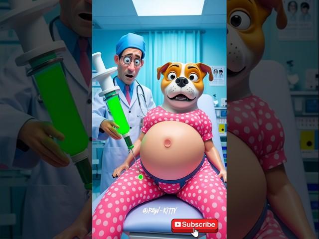 ️Evolution of Paw: Dr With Pregnant Dog Paw-Kitty#cat #cute #love #shorts #funny #comedy #sigma