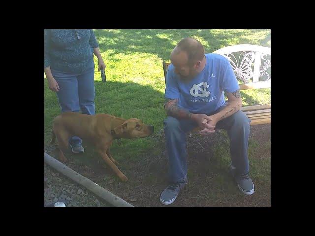 Dog Doesn't Recognize Owner After Weight Loss...Until He Sniffs Him