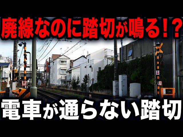 【こんなの見たことない！】列車が通らない珍踏切、日本の特別な踏切特集！