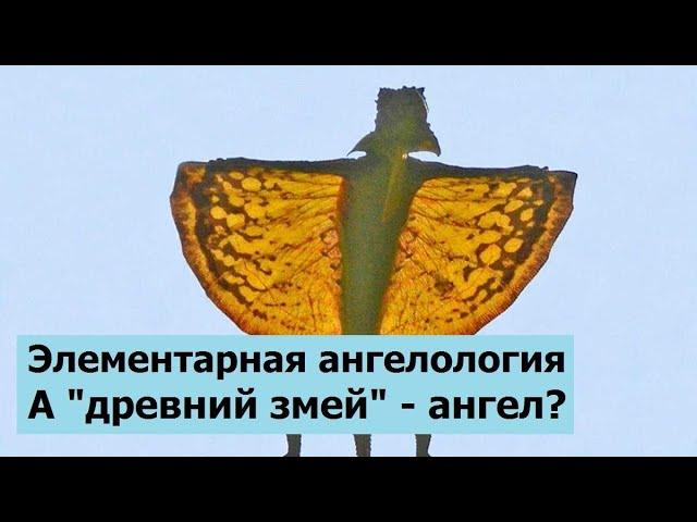 Элементарная ангелология. А змей - ангел?