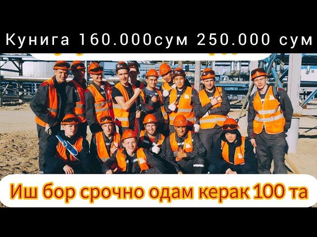 Узбекистонда иш бор кунига 250.000 сум #иш_бор#тошкентда #йокса_боригла#бировни_мажбурлаш #йук