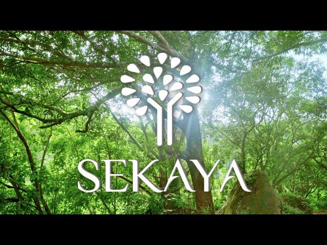 SEKAYA | Prescribing Nature