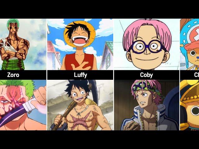 One Piece Characters After TimeSkip