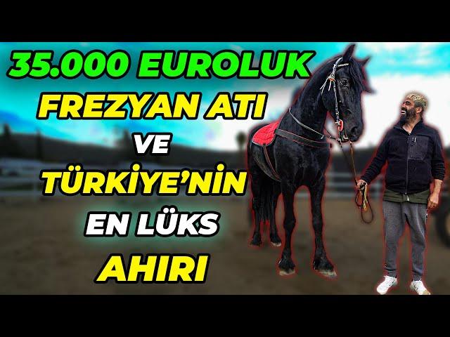 Tiktok Şampiyonunun Lüks Hayvan Çiftliği - ALEX ONE ÖZEL