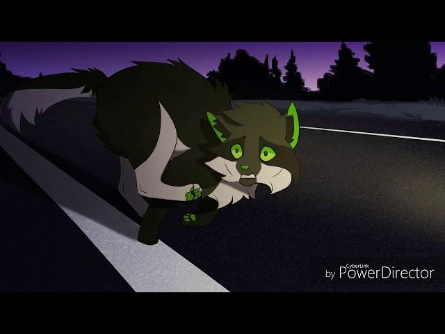 Warrior Cats~Dark Side