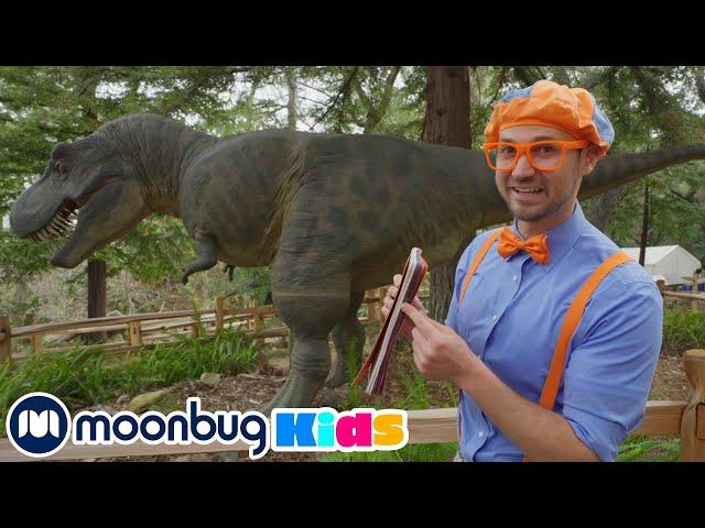 Santa Barbara Museum of Natural History | Learn ABC 123 | Educational Videos | Moonbug Kids