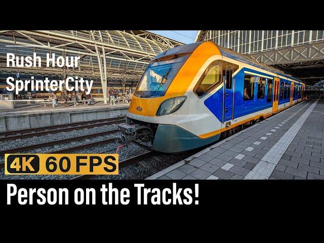 Train Cab Ride NL / Person on the Tracks! / Amsterdam - Purmerend - Hoorn / SNG IC / October 2024