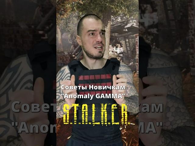 Советы Новичкам в Anomaly GAMMA #STALKER