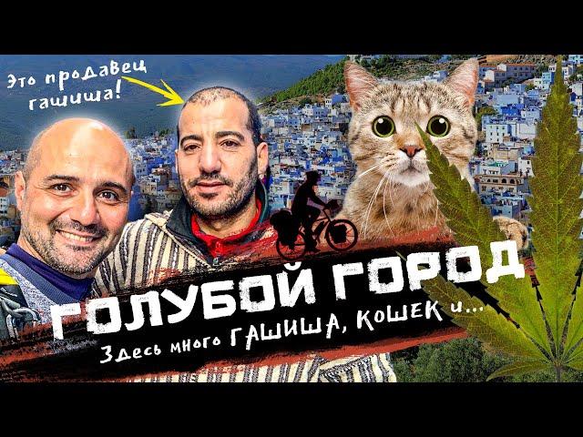 МАРОККО | Это столица гашиша, кошек и.. Голубой город Шефшауен, что же в нем необычного?!