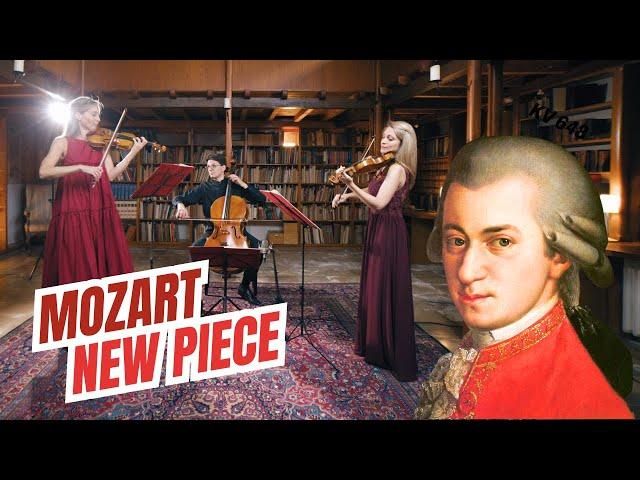 Discovered in 2024: W.A.Mozart 'Ganz kleine Nachtmusik' KV 648 recorded at Bärenreiter Library | 4k