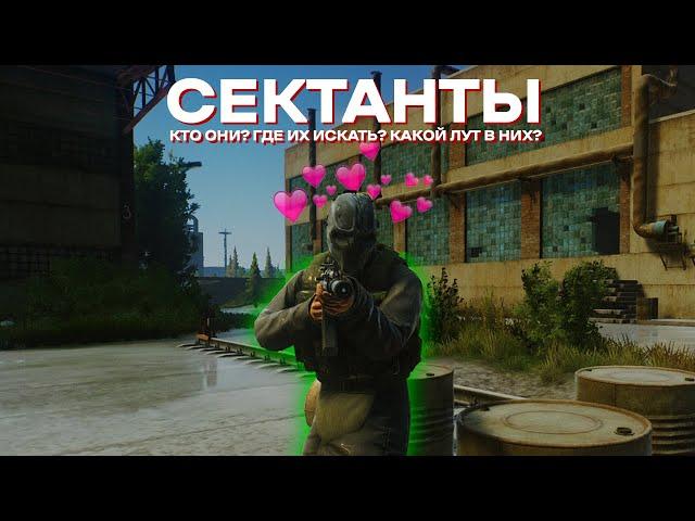 Сектанты в таркове гайд I Escape From Tarkov