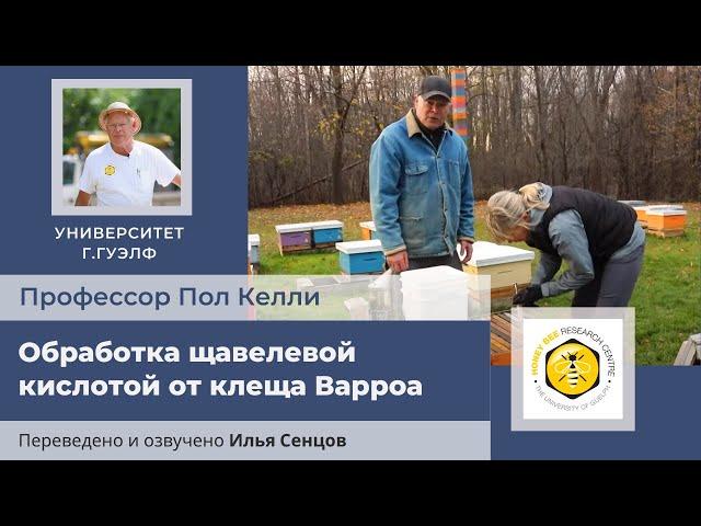 Обработка щавелевой кислотой от клеща Варроа (капельный метод или метод пролива)