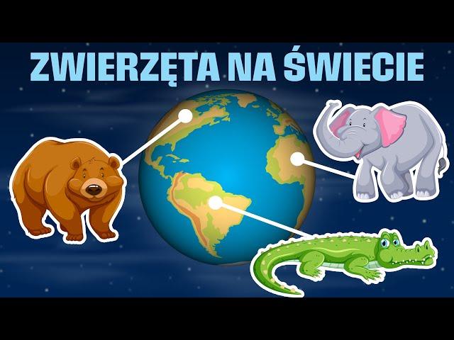 Zwierzęta na świecie - Bajka edukacyjna dla dzieci - Nauka kontynentów