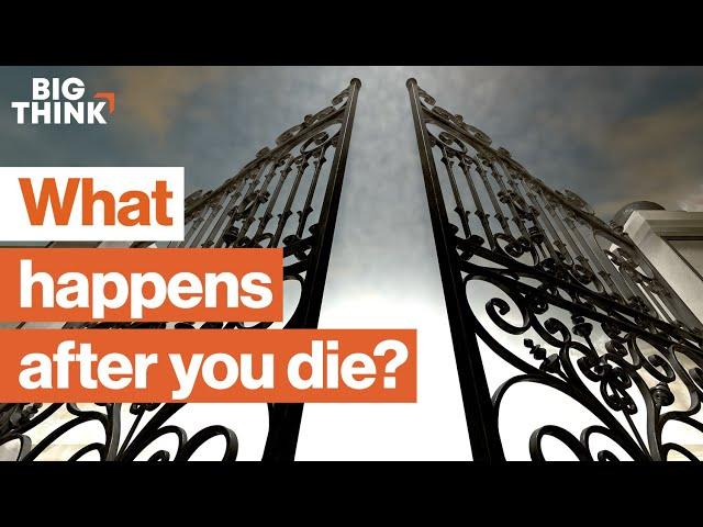 Is there life after death? | Sam Harris, Bill Nye, Michio Kaku, & more | Big Think