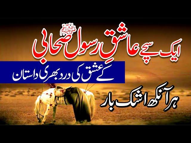 Hazrat Saad al Aswad as sulumi wife story - Saad al Aswad biography - Saad al Aswad marriage story