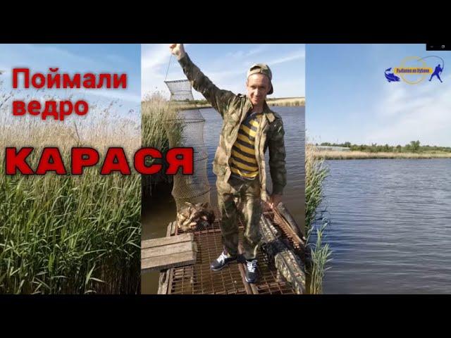 Поймали ведро карася! Рыбалка хутор Пролетарский, май 2020/// Рыбалка на кубани  /// Выпуск № 11