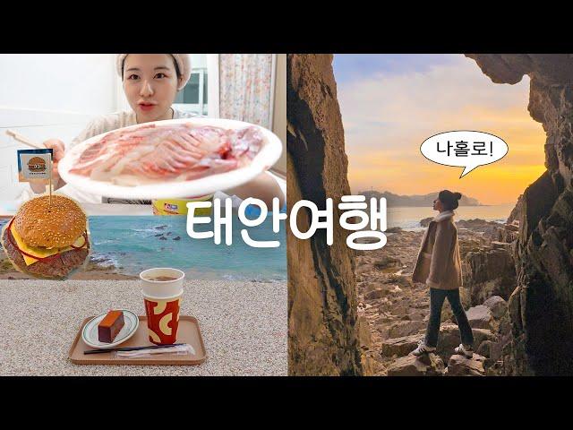 나홀로 태안여행 1박2일 여유롭게 오션뷰 갬성카페, 인생 버거, 파도리 해식동굴 포토존, 회 포장, 폐교개조카페