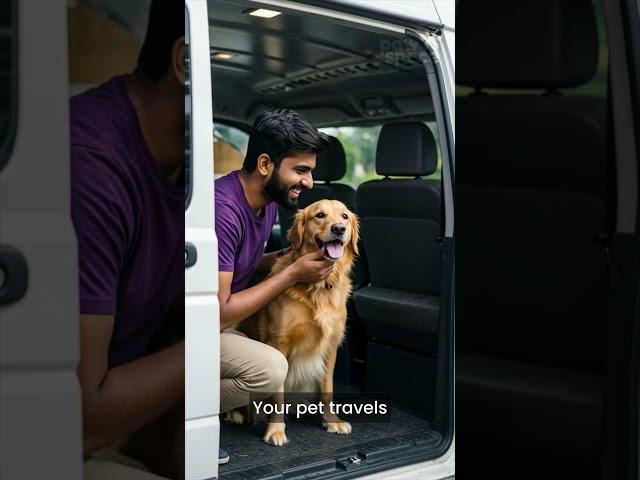 Best Petcare services in Bengaluru | Pawspace