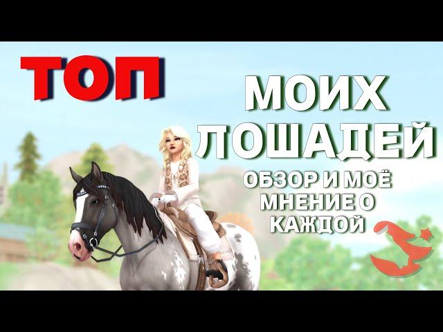 SSO / ТОП ЛОШАДЕЙ В МОЕЙ КОНЮШНЕ / по чуть чуть о каждой! / #starstable #sso #старстейбл