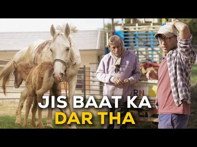 Jo koi nahi chahta thaa wahi hua | Horse rescue story