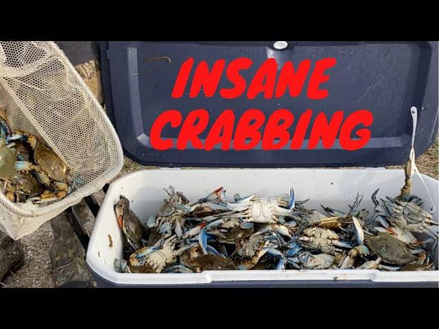 Insane Crabbing Trip Using Hand Lines  (Catch*Clean*Cook) Crab & Shrimp Stew With Fried Shrimp