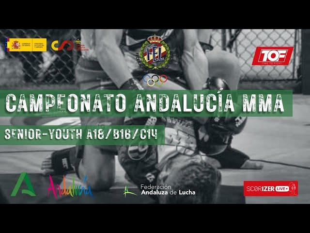 Campeonato de Andalucía MMA AMATEUR 2024