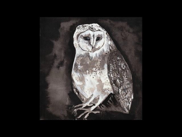 Cosmo Sheldrake - Owl Song