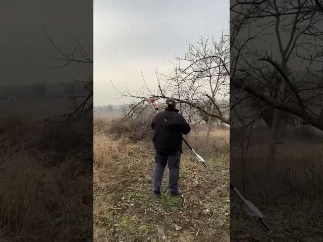 Обрізаю дерева в зимку