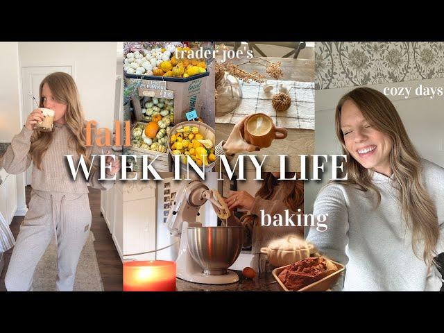 FALL WEEK IN MY LIFE | trader joes, baking pumpkin bread, homemade pumpkin syrup, & cozy days!