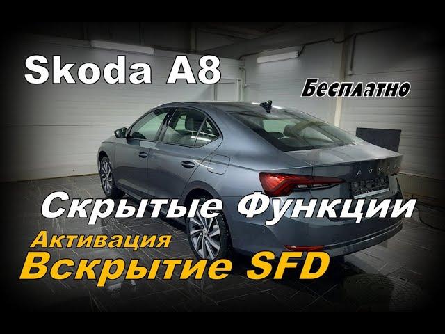 Skoda 2022 Активация Скрытых Функций. Инструкция Бесплатно(2022)