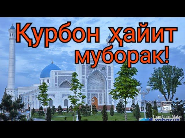 Қурбон ҳайит муборак | - Qurbon hayit muborak. Курбон хайит муборак. Арафа куни муборак!