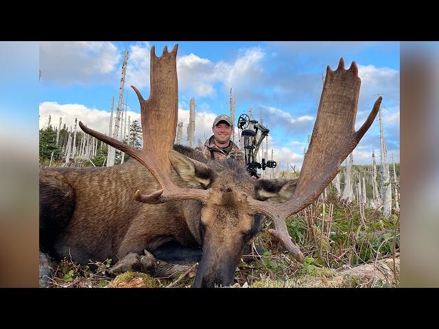 Archery Hunting for Moose in Newfoundland | Canada in the Rough