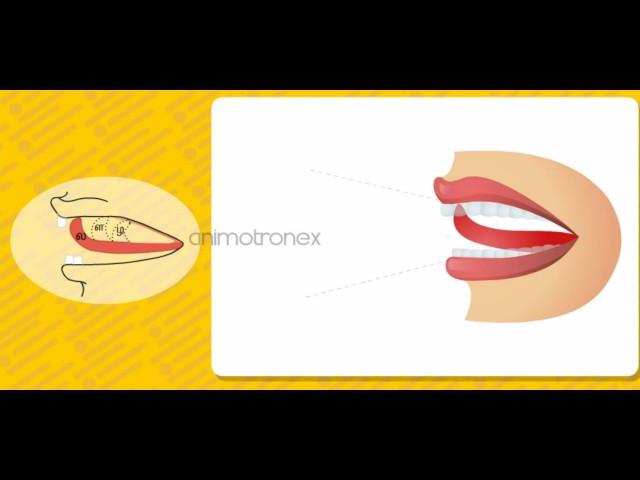 தமிழில் ல, ள, ழ , ன ,ந , ண ,ற, ர சரியாகப் பலுக்குவது எப்படி?