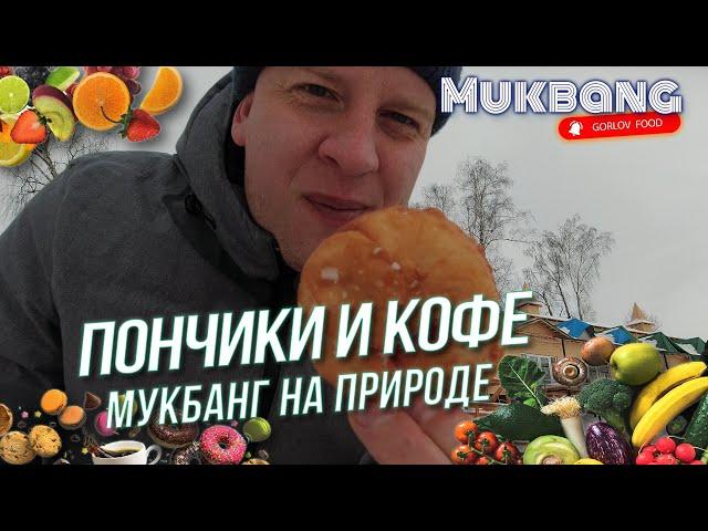 Мукбанг на ПРИРОДЕ кофе и пончики зимой. Выпало много снега. Mukbang on Nature