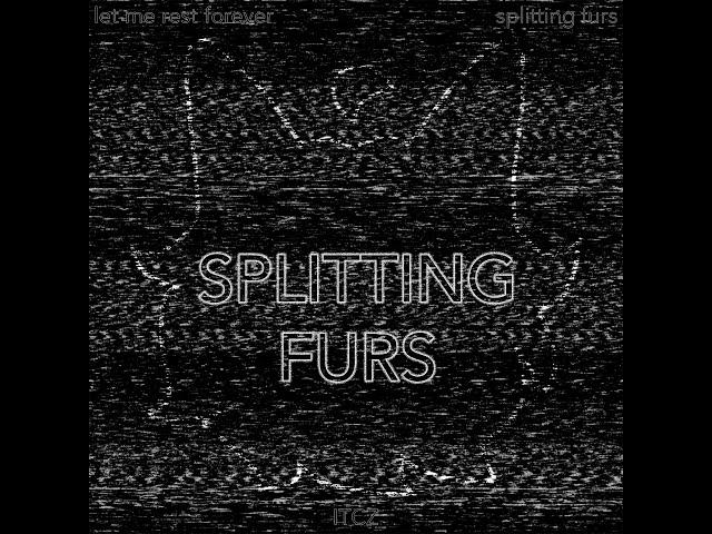 splitting furs EP [free DL]