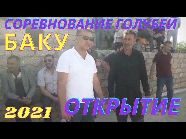 ОТКРЫТИЕ СОРЕВНОВАНИЯ БАКИНСКИХ ГОЛУБЕЙ В БАКУ! Pigeon Competitions