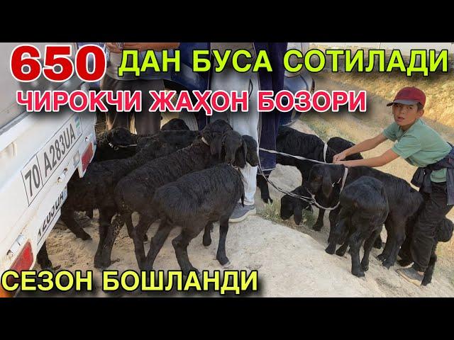 ЕНГ АРЗОН БОЗОР! 14 МАЯ КАШКАДАРЁ ВИЛОЯТИ ЧИРОКЧИ МОЛ БОЗОРИ НАРХЛАРИ 2025.КУЙ КУЗИ НАРХЛАРИ 2025.
