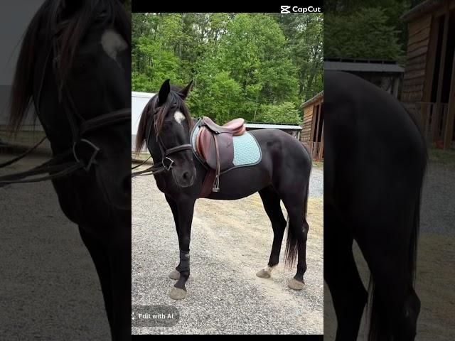 Riding Luna!
