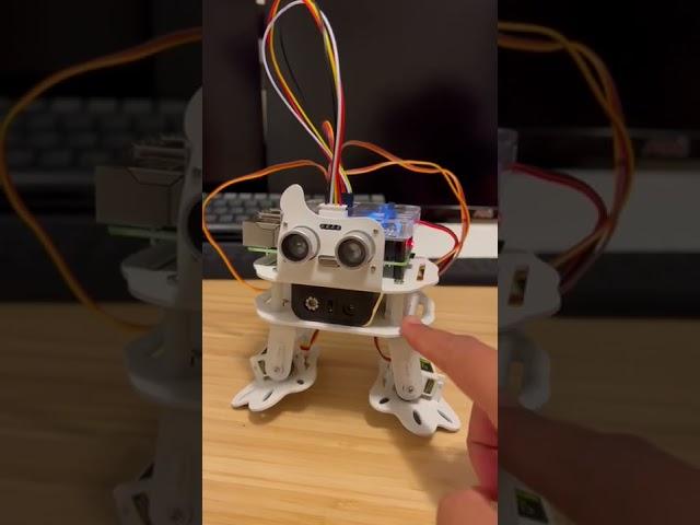 Pisloth Robot - Raspberry pi 4