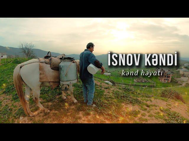 Kəndlinin bir günü - KƏND HƏYATI - Quba rayonu İsnov kəndi | Nail Kəmərli