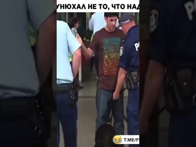 это фиаско братан #shorts