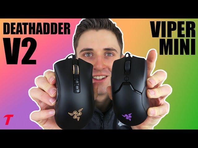 Razer Viper Mini vs Razer Deathadder V2 - Cheap is BETTER?