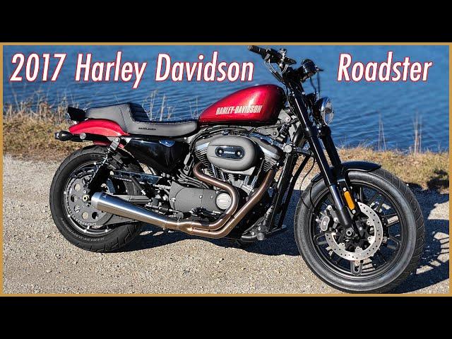 2017 Harley Davidson Roadster Stunt Bike