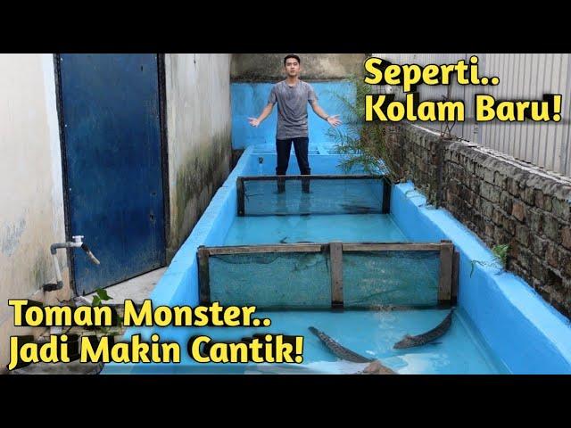 KEMBALINYA SEMUA IKAN MONSTER KE KOLAM! KEINDAHANNYA BIKIN TAMBAH BETAH