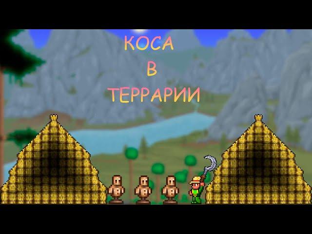 Бесконечные Блоки в Террарии! / Террария Гайды! / #terraria