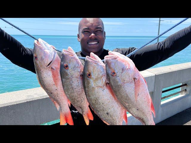 SECRET BAIT! Catching MULTIPLE Mutton Snapper (FL Keys Bridge Fishing)