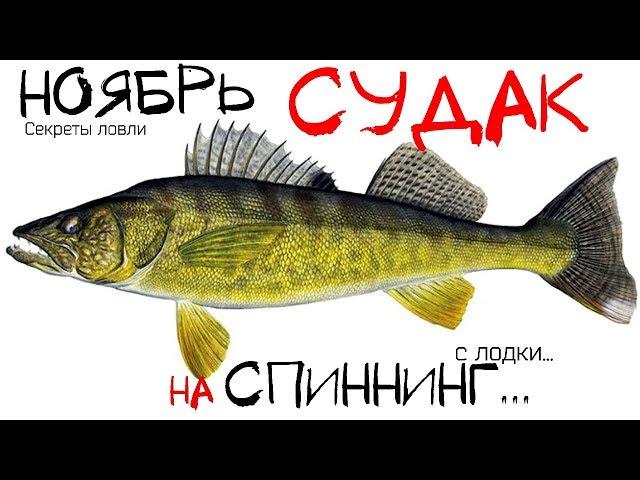 Как ловить судака на спиннинг осенью в ноябре? Как ловить судака на спиннинг поздней осенью?