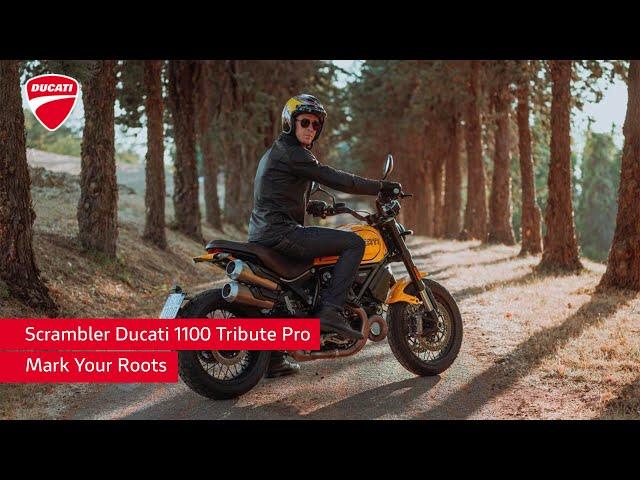 Scrambler Ducati 1100 Tribute Pro | Mark Your Roots