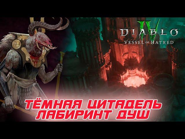 Diablo 4 - Тёмная цитадель - Лабиринт душ. Как правильно проходить